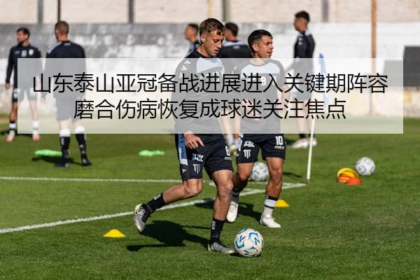 山东泰山亚冠备战进展进入关键期阵容磨合伤病恢复成球迷关注焦点